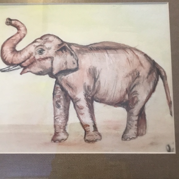 🌸NEW🌸 Elephant Framed Artwork - Picture 6 of 15